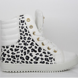 Кецове 504 White