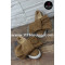 Обувки 16-PH2304 02 Khaki